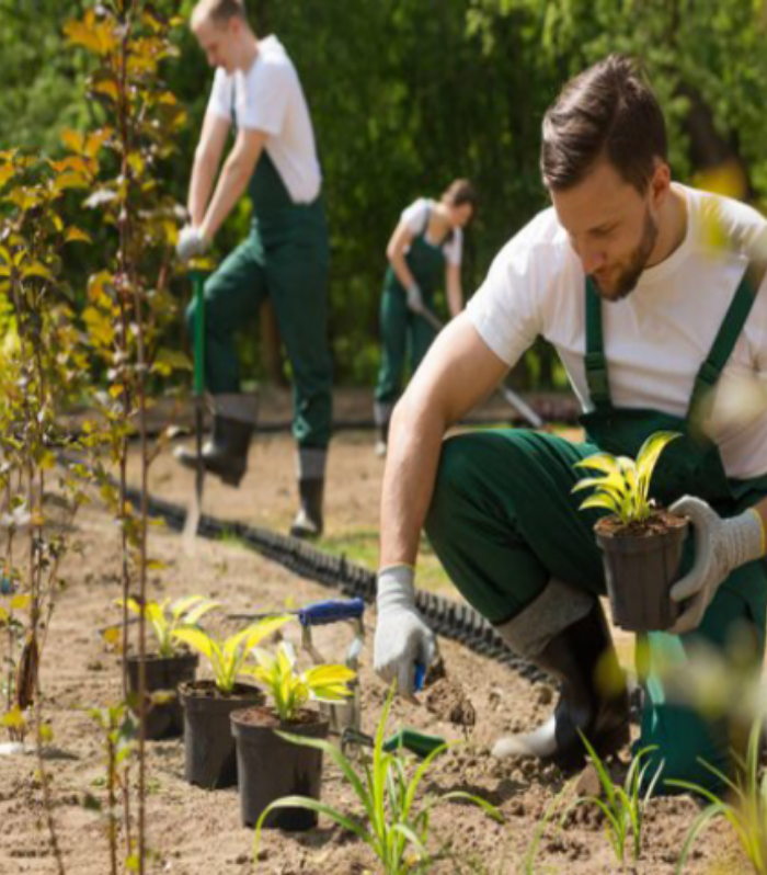 gardening and horticulture - one at best of facility management companies in kerala -facility management companies in kochi