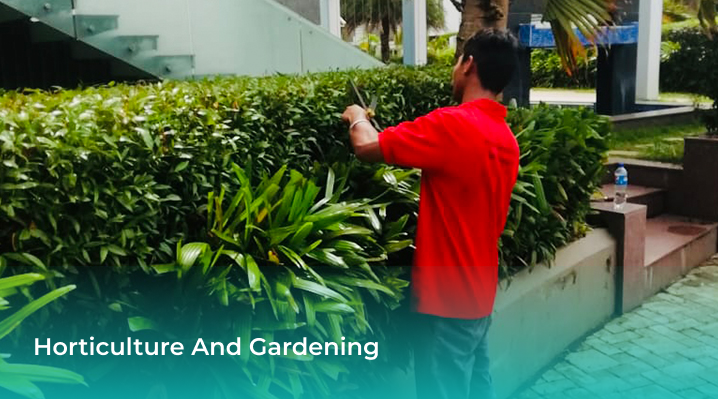 service-portfolio-image